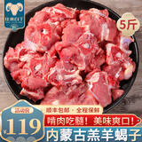 往来白丁内蒙古原切羊蝎子新鲜羔羊肉脊骨髓羊蝎骨羊脖骨冷冻火锅食材生鲜 内蒙羊蝎子-5斤