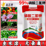 国光磷酸二氢钾甲肥料 花卉果树专用磷肥钾肥水溶肥农用叶面肥蔬菜 1000g(正器 99%磷酸二氢钾)