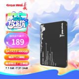 长城（Great Wall） 480GB SSD固态硬盘 SATA3.0接口 读速520MB/S台式机/笔记本通用 GW520系列
