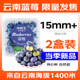 京鲜生 云南蓝莓 2盒装 约125g/盒 15mm+ 新鲜水果 源头直发 包邮