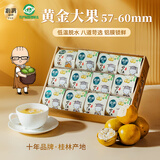 沁漓黄金罗汉果独立包装大果216g广西特产桂林永福冻干罗汉果茶礼盒装