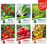 花沃里6款蔬菜种子大全 果蔬类盆栽小番茄西红柿朝天椒小白菜萝卜生菜籽