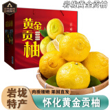 南步黄金贡柚 湖南怀化10斤岩垅特产春香桔柚象山青柑橘桔子新鲜水果 净重8.5斤 中果【约31个】礼盒装