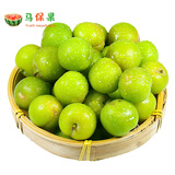 马保果三月李酸脆小李子青李子当季应季新鲜孕妇水果 精选1斤装