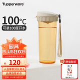 特百惠（Tupperware）茶韵500ML塑料杯 男女学生便携办公用水杯子大容量双饮口 奶茶棕