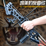 D&Q弓箭 反曲弓 军迷用品成人弓箭户外运动射箭猎弓高磅数凯美豹套装 套装二：入门基础套装 30磅