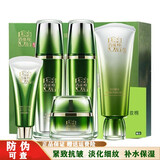 百雀羚（PECHOIN） 紧致抗皱滋润修护淡化细纹干纹提拉紧致改善肌肤松弛脸部粗糙暗沉黄补水保湿套装 肌初赋活致臻套加洗面奶