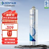 爱惠浦（Everpure） H-100C 净水器滤芯