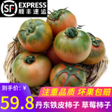 味小仙辽宁丹东草莓柿子（发顺丰）铁皮柿子绿腚油柿子西红柿番茄蔬菜 5斤