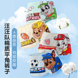 汪汪队立大功（PAW PATROL）儿童内裤男中小童平角裤A类棉小孩四角短裤宝宝内裤PA1813  140