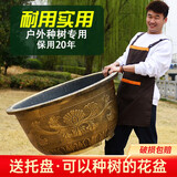 古达特大花盆大口径加厚塑料树脂花盆户外种果树盆景铁树荷花睡莲盆 【35号】外径36cm高24cm 底部有孔种植盆