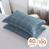 艾薇枕头套枕套一对纯棉家用全棉单人枕套枕芯套 迪莉亚 48*74cm