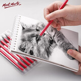 【全网低价】蒙玛特(Mont Marte)素描炭笔6支装 速写学生画画铅笔户外写生实芯石墨碳画铅笔套装美术碳笔绘画碳棒MPN0046美术写生