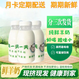 龘之鲜现挤鲜羊奶巴氏杀菌牧场直发孕妇儿童老人易吸收零添加纯羊奶 250ml 30瓶整箱装 250ml