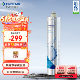 爱惠浦（Everpure） H-100C 净水器滤芯