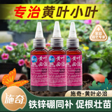 施奇黄叶必治植物黄叶小叶氨基酸铁微量元素肥料绿叶叶面肥水溶肥料