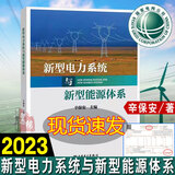 正版书籍 新型电力系统与新型能源体系 辛保安 著新型电力系统构建方法论 新型电力系统技术创新新型能源体系建设书中国电力出版社