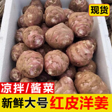 辰实【新货现挖】洋姜新鲜 现挖野鬼子姜菊芋腌菜 生姜不辣蔬菜 9.5斤【红皮洋姜】大号