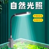 boxtech鱼缸灯led灯迷你夹灯水族鱼缸造景专用小型水草孔雀金鱼照明灯 3W小型鱼缸专用灯-L01