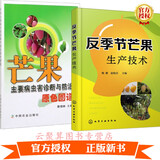 2021芒果树栽培种植技术书籍2册 反季节芒果生产技术+芒果主要病虫害诊断与防治原色图谱 高产量种植