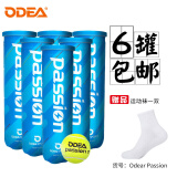 欧帝尔（Odear）网球passion air系列网球耐打高弹训练比赛罐装网球 passion 6罐 4粒装+袜子1双