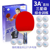 双鱼（DOUBLE FISH） 乒乓球拍初学者成品拍双面反胶皮套装快攻型学生业余训练乒乓拍 竖拍 3A+直拍 （单）12球