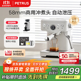 柏翠(petrus)【政府补贴】咖啡机意式浓缩家用小型半自动蒸汽打奶泡PE3833 海盐小方