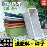 努拉派霍伦种菜盆花盆阳台种植神器蔬菜加厚长条长方形盆室内种植槽 中号：浅绿色 花盆1个(含托盘)