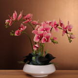 高品质成品蝴蝶兰仿真花假花花艺套装客厅电视柜前台装饰花摆件 白花瓶+粉红套装