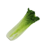 青麻叶大白菜1.2kg