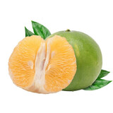 攸竹新鲜青皮葡萄柚子 黄金葡萄柚 爆汁葡萄柚 青皮西柚皮薄多汁肉嫩 3斤 普通装