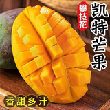集南鲜 四川攀枝花凯特芒果 现摘大青皮黄皮热带芒果新鲜时令生鲜水果 净重8斤彩盒装  500g起
