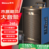 新科 （Shinco）广场舞音响户外拉杆蓝牙音箱三喇叭重低音木质箱体家用K歌移动摆摊低音炮 8吋单咪