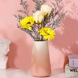 极度空间 陶瓷花瓶插花器客厅工艺品桌面摆件茶几装饰摆件插花器