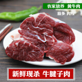 麦萨塔【顺丰】新鲜内蒙牛肉 牛腿肉 原切黄牛肉生鲜草饲生牛肉炖卤烧烤 新鲜牛腱子 1.5kg (3斤)