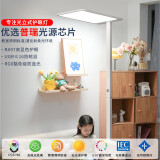 杜君学习护眼台灯学生书桌阅读立式LED全光谱落地式大路灯卧室钢琴灯