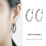 KOSE925银针碎银几何圈圈耳环女2024新款时尚小众设计高级感耳圈耳饰 锆石碎银耳环银白色