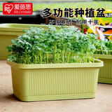 爱丽思（IRIS）种菜盆蔬菜种植箱塑料菜盆特大号阳台种菜神器户外花箱种花菜盆 【1个】大(60cm长)浅米 送隔网