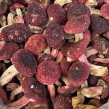 食怀红椎菌广西 福建武夷山红菇红菇红蘑菇干货红菌干货滋补月子菇 红菇250克(0.5斤)