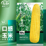 寿禾 水果玉米种子苗超甜鲜食菜种籽 潍育斯达205玉米种子150g大规格