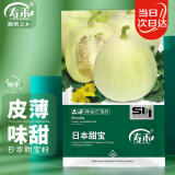寿禾 甜瓜种子白皮甜宝香瓜春季水果种籽 潍育系列日本甜宝种子100粒
