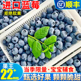 高原蓝莓125g盒新鲜当季水果蓝梅鲜果云南高山进口怡颗甜蓝莓孕妇 优选中果14-16mm 12盒