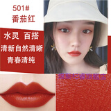 LANYI奥i迪口红 不脱色不掉色不沾杯不脱色豆沙色烂番茄色同款口红 501#番茄红棕