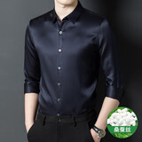 CJZ长袖衬衫男中老年秋装新款桑蚕丝纯色真丝商务高档绸缎重磅衬衣男 上青色 L (175)