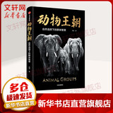 动物王朝 自然选择下的群体智慧