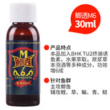 穿透王秋冬黑坑野钓鲫鱼鲤鱼钓鱼小药口水剂草鱼青鱼药酒诱鱼剂混养鱼饵 鲫透M6（30ml 鲫鱼原浆药酒）