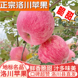 洛川苹果陕西延安特产红富士时令苹果水果礼盒送苹果生鲜新鲜脆甜整箱批发 10斤爆卖70-75mm（净重8.5斤）