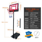双航 篮球架户外标准可升降可移动投篮架便携式篮球框家用户外移动 0181自由伸缩款-篮筐1.2-2.1米