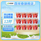 西域春 新疆特产冰淇淋低温酸奶135克*12杯装整箱网红益生菌酸牛奶