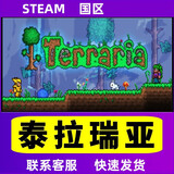 Steam PC正版 泰拉瑞亚 Terraria  国区礼物礼物 泰拉瑞亚本体 国区